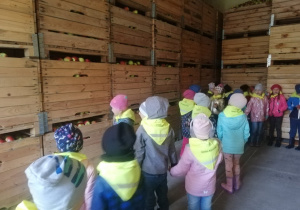 przedszkolaki zwiedzają chłodnie ze skrzynkami jabłek